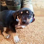 Yang_IMG_20251213_114353