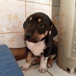 Yang_IMG_20251213_115922