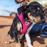 Yang_IMG_20260110_130612