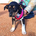 Yang_IMG_20260110_130631