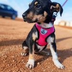 Yang_IMG_20260110_130728