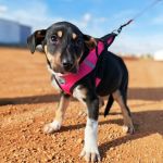 Yang_IMG_20260110_130736