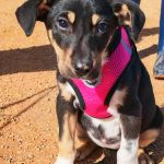 Yang_IMG_20260110_130812