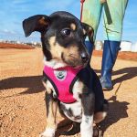 Yang_IMG_20260110_130817