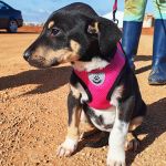 Yang_IMG_20260110_1308186