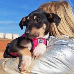 Yang_IMG_20260110_130939