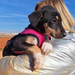 Yang_IMG_20260110_130944_1