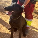 Yango_IMG_2744