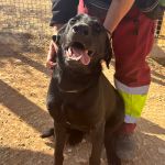 Yango_IMG_2745