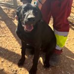 Yango_IMG_2746