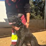 Yango_IMG_2747