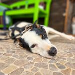 Yannik_20250418_111446