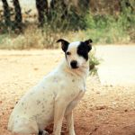 Yannik_IMG_6179