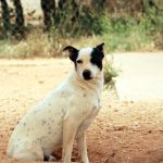 Yannik_IMG_6180