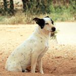 Yannik_IMG_6181