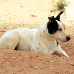 Yannik_IMG_6183