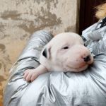 Yin_IMG_20251115_113428