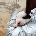 Yin_IMG_20251115_113429_1