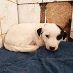 Yin_IMG_20251213_115850