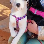 Yin_IMG_20260110_130349