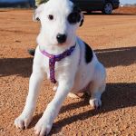 Yin_IMG_20260110_1304454