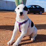 Yin_IMG_20260110_130447