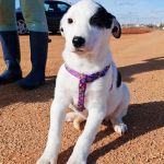 Yin_IMG_20260110_130449