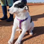 Yin_IMG_20260110_1304491