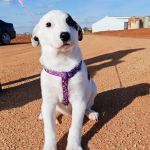 Yin_IMG_20260110_130456