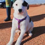 Yin_IMG_20260110_130500