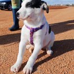 Yin_IMG_20260110_1305010