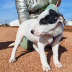 Yin_IMG_20260110_1305291