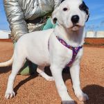 Yin_IMG_20260110_130531