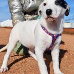 Yin_IMG_20260110_1305311