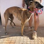 Yolanda_IMG_0311