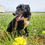 Yoya_20250418_130029