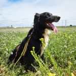 Yoya_20250418_130049