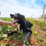 Yoya_20250418_130215