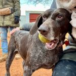 Yudi_IMG_8468