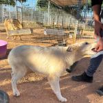 Yuki_2026-05-28 at 10-17-04