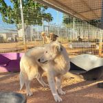 Yuki_2026-05-28 at 10-17-06