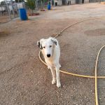 Yuki 2026-08-08 at 23-27-14