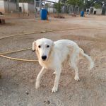 Yuki_2026-08-08 at 23-27-18