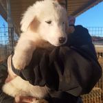 Yuki_IMG_20260219_084003