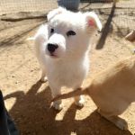 Yuki_IMG_20260221_121345