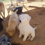 Yuki_IMG_20260221_121459