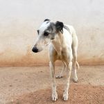 Zania_IMG_3168