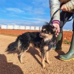 Zion_IMG_20251213_121042