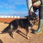 Zion_IMG_20251213_121045