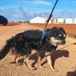 Zion_IMG_20251213_121051